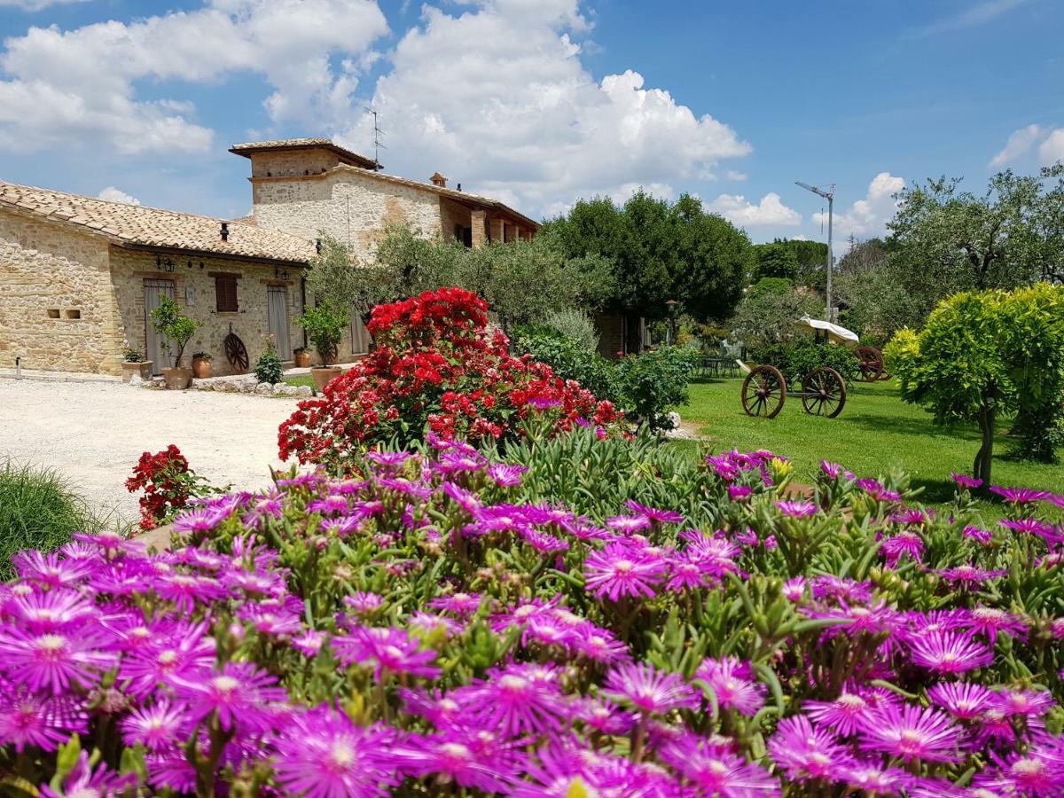 Agriturismo Arcobaleno Della Torretta Giano dellʼUmbria Eksteriør billede